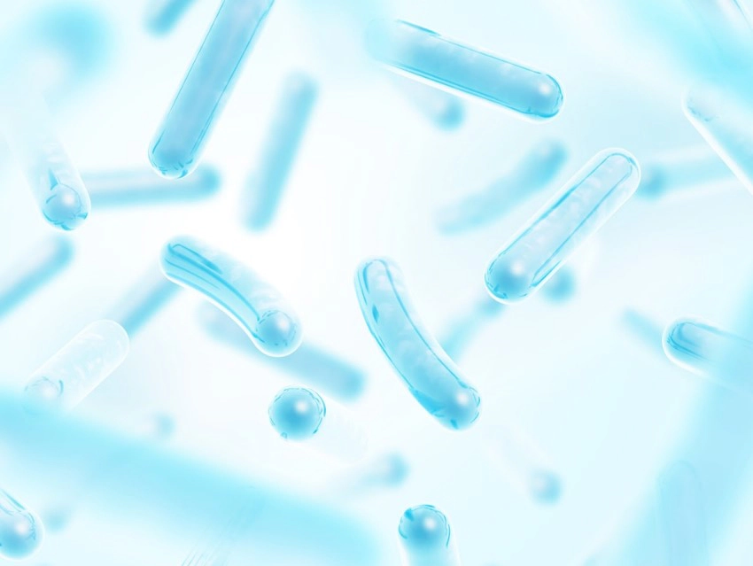 Các loại lợi khuẩn đường ruột