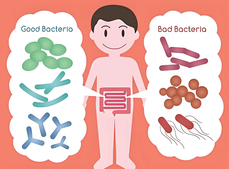 Trẻ bị mất cân bằng hệ vi sinh đường ruột