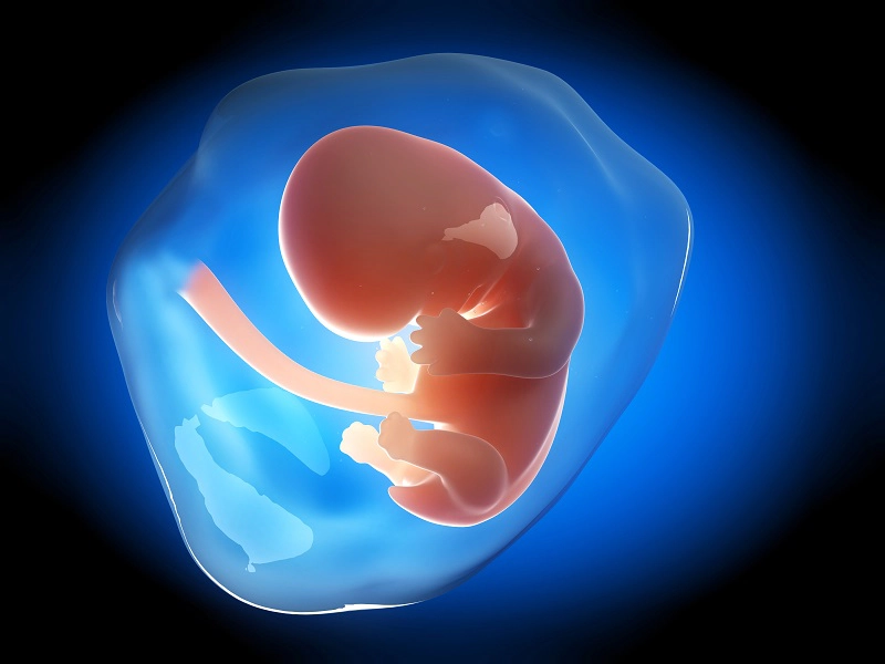 mang thai tháng thứ 2 có biểu hiện gì