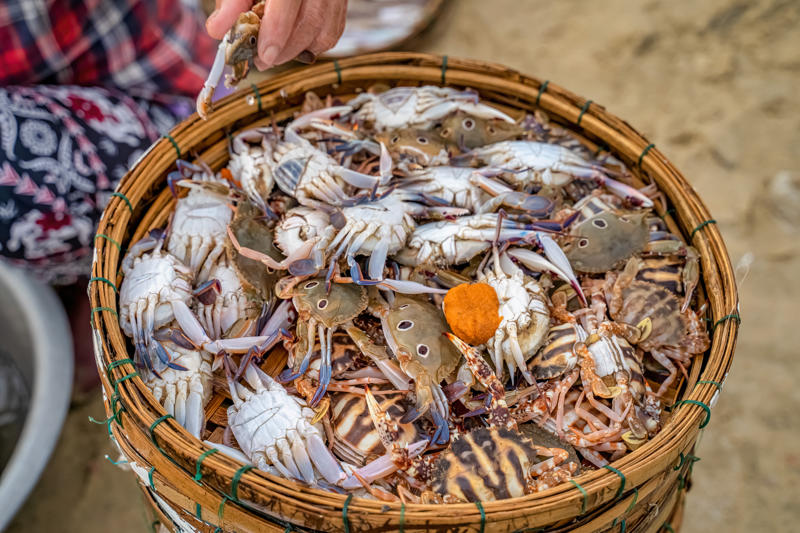 cháo ghẹ cho trẻ 7 tháng
