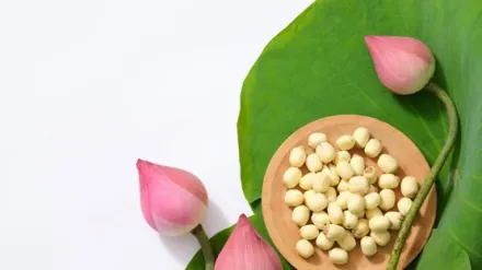 hạt sen nấu cháo ăn dặm cho bé 6 tháng tuổi