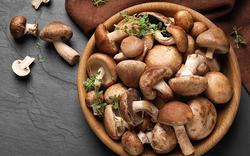 các loại nấm