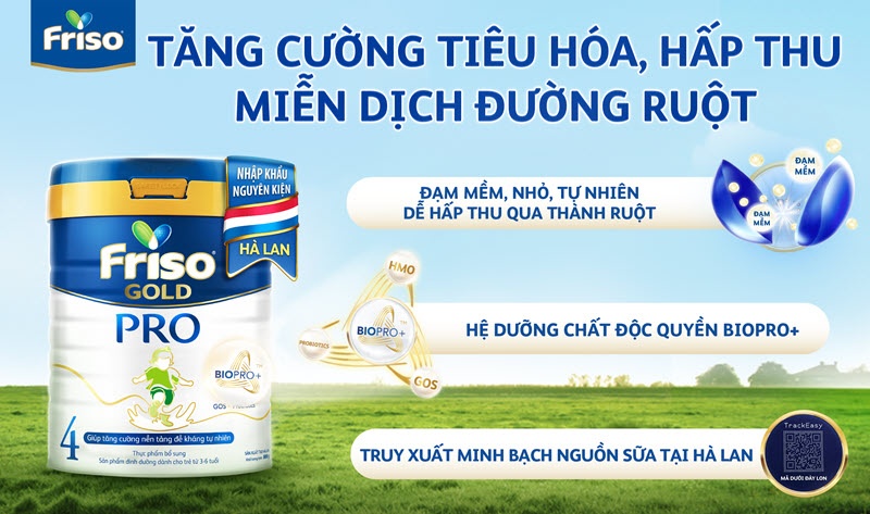 Friso pro 4