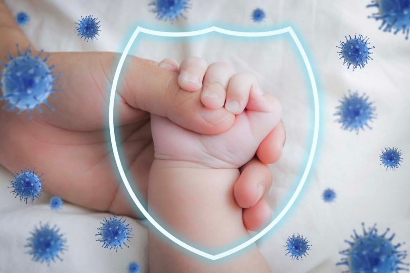 Tác dụng của HMO là  ngăn ngừa vi khuẩn, virus tấn công trẻ