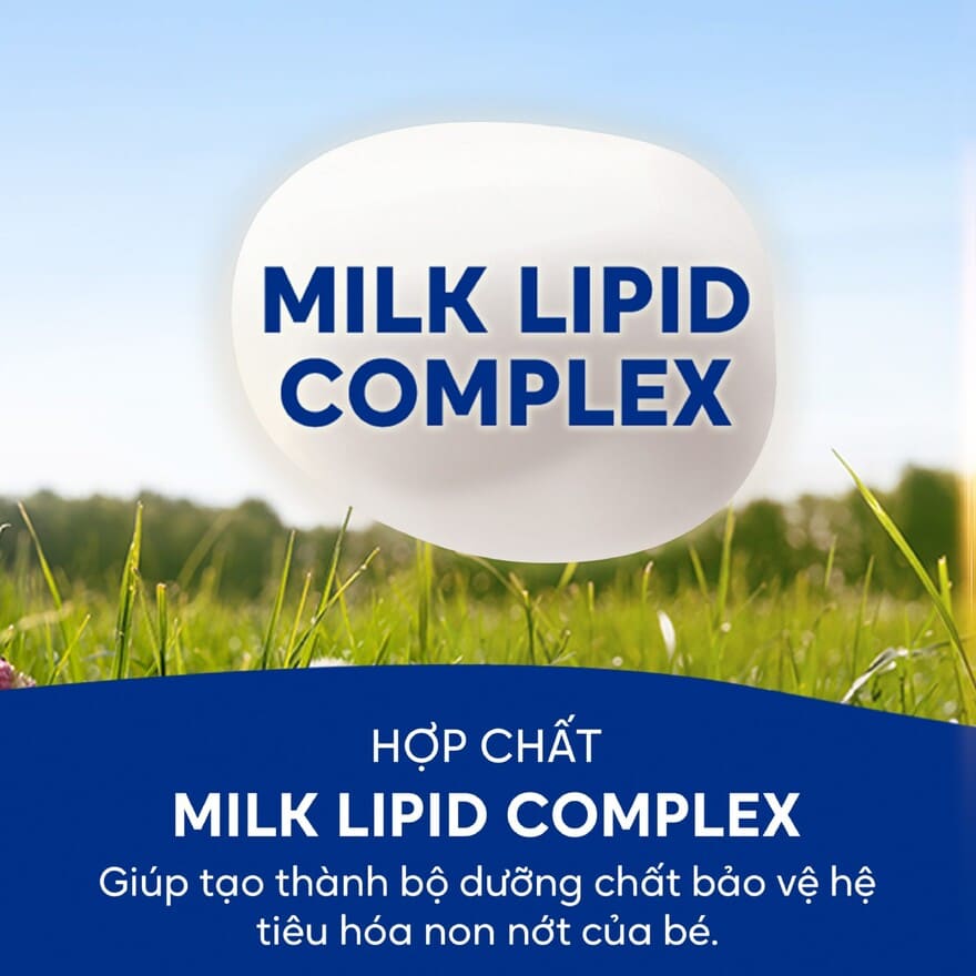 Sữa chứa Milk Lipid Complex hỗ trợ trẻ tiêu hóa tốt hơn