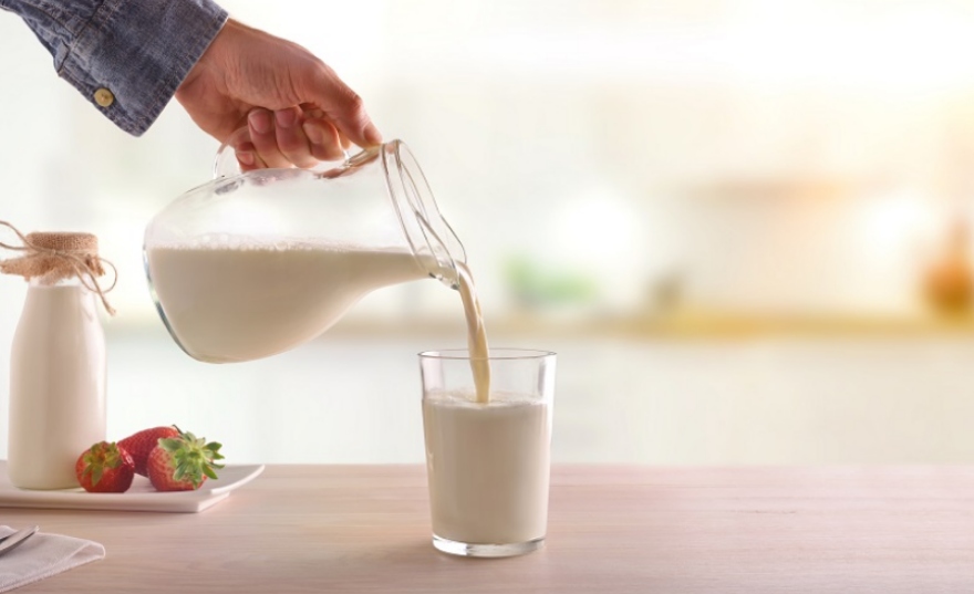 đạm whey và đạm casein đều có nguồn gốc từ sữa