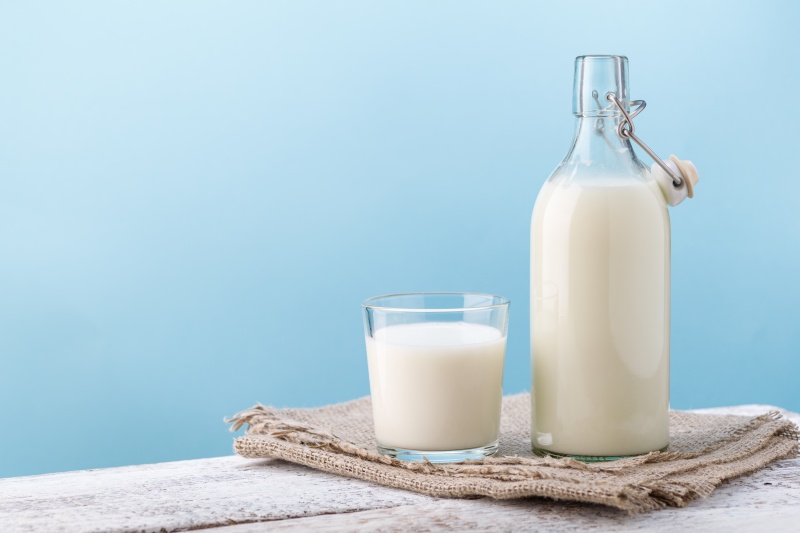 đạm whey là gì