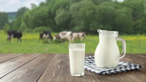 casein protein