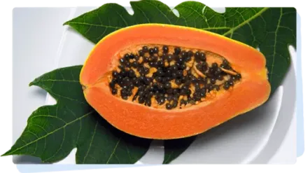 bà-bầu-nên-kiêng-ăn-gì