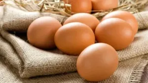trứng gà để nấu cháo cho bé từ 6 tháng tuổi