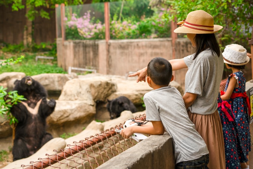 Dạy các con vật cho bé thông minh