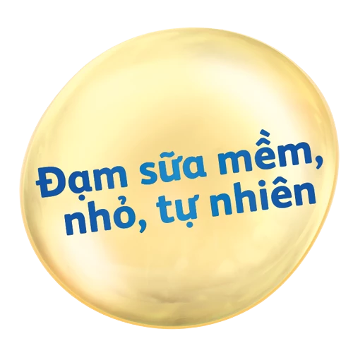 đạm sữa friso