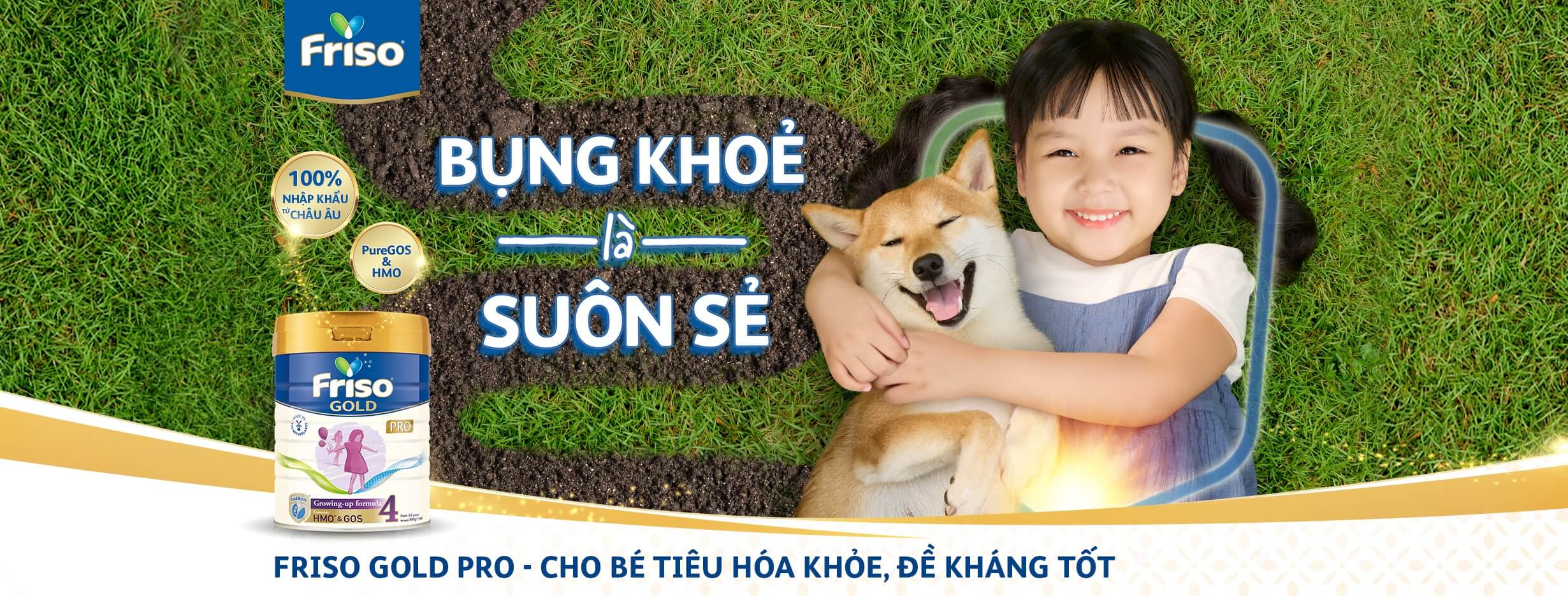 banner friso gold pro