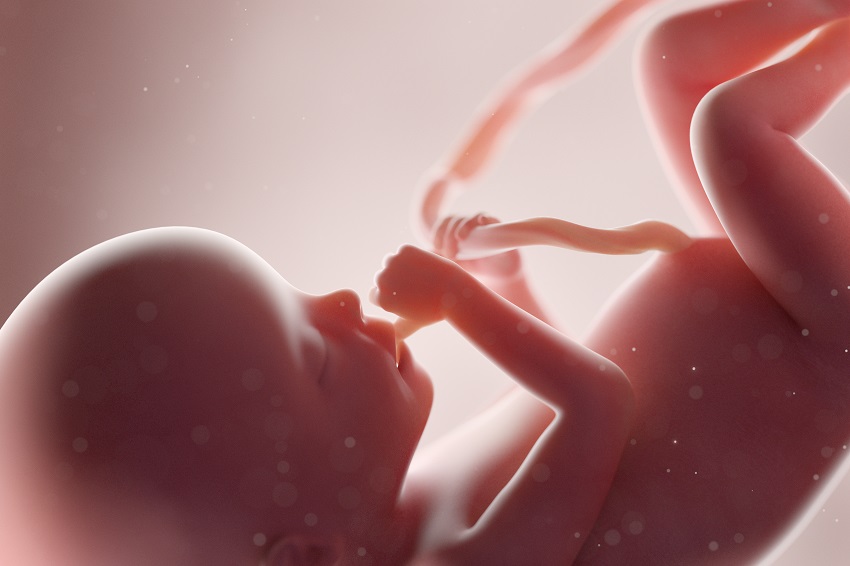 thai nhi tuần 37 phát triển như thế nào
