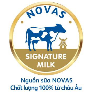 Novas 