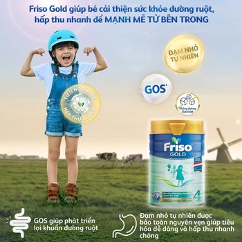 sữa friso gold 4