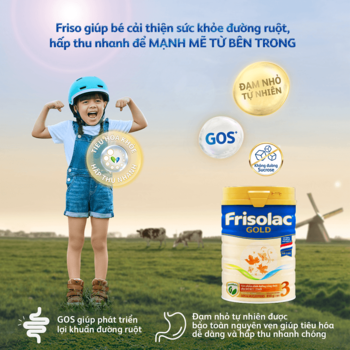 sữa frisolac gold 3