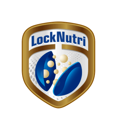 lock
